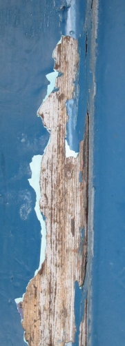 baum